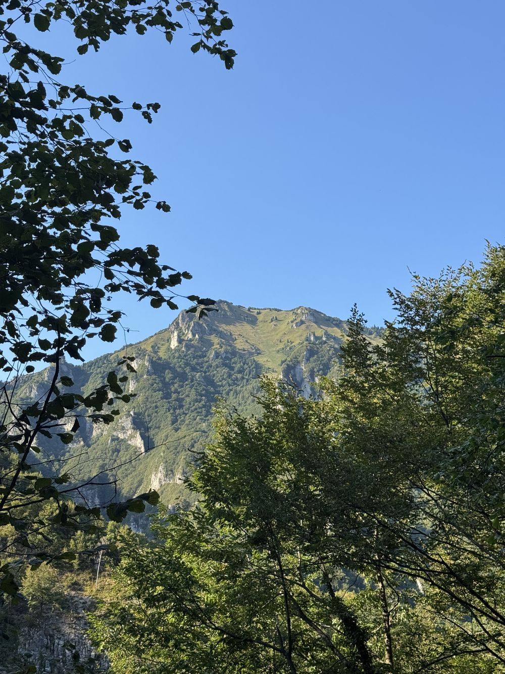 La cresta erbosa inquadrata tra i faggi lungo il sentiero.