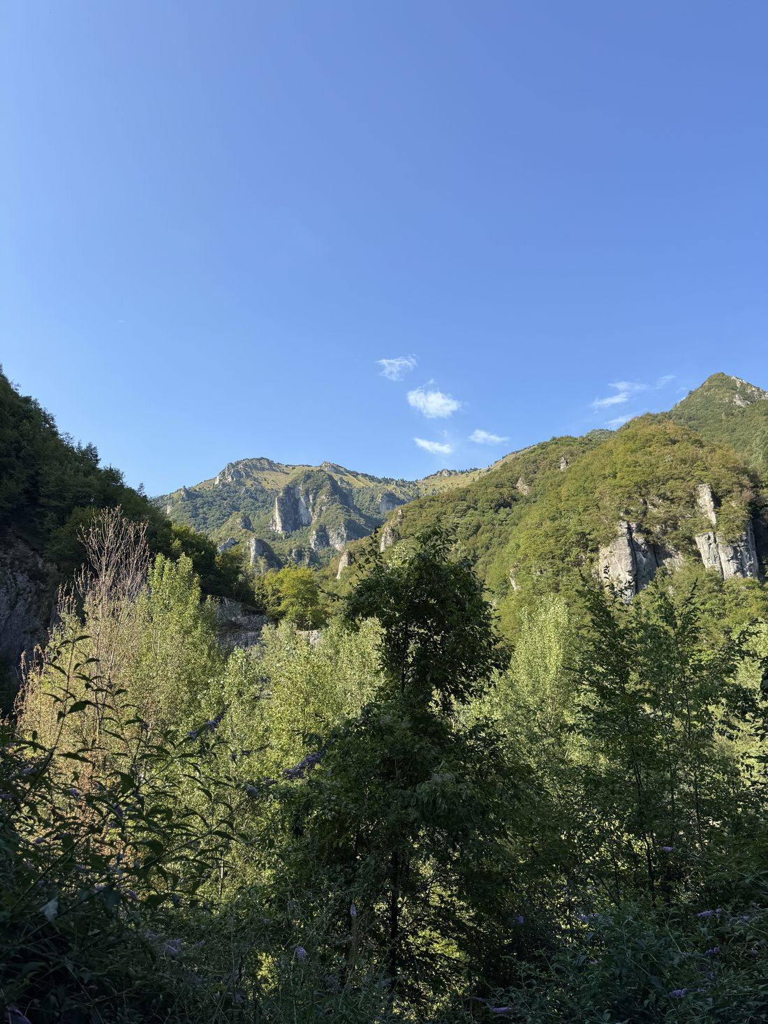 La valle tra i boschi, con le creste erbose e le pareti di roccia sul fondo.